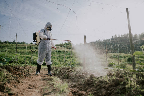 Best Mosquito Control Services  in Gunnison, UT