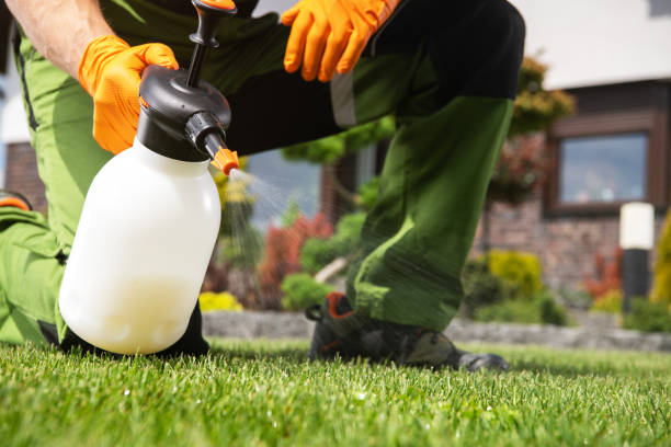 Best Mosquito Control Services  in Gunnison, UT