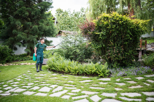 Best Emergency Pest Control  in Gunnison, UT