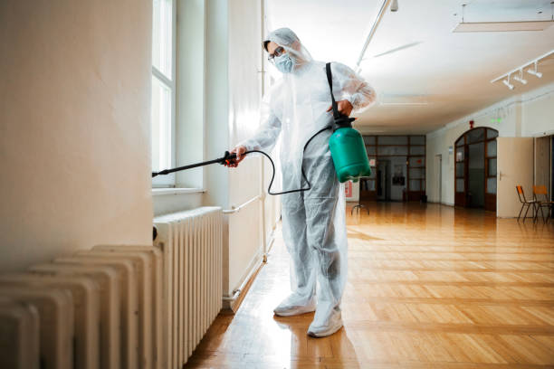 Best Wasp Removal Services  in Gunnison, UT