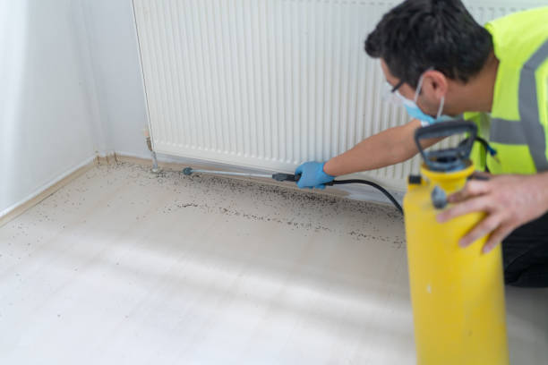 Best Cockroach Control Services  in Gunnison, UT