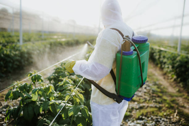 Best Residential Pest Control  in Gunnison, UT